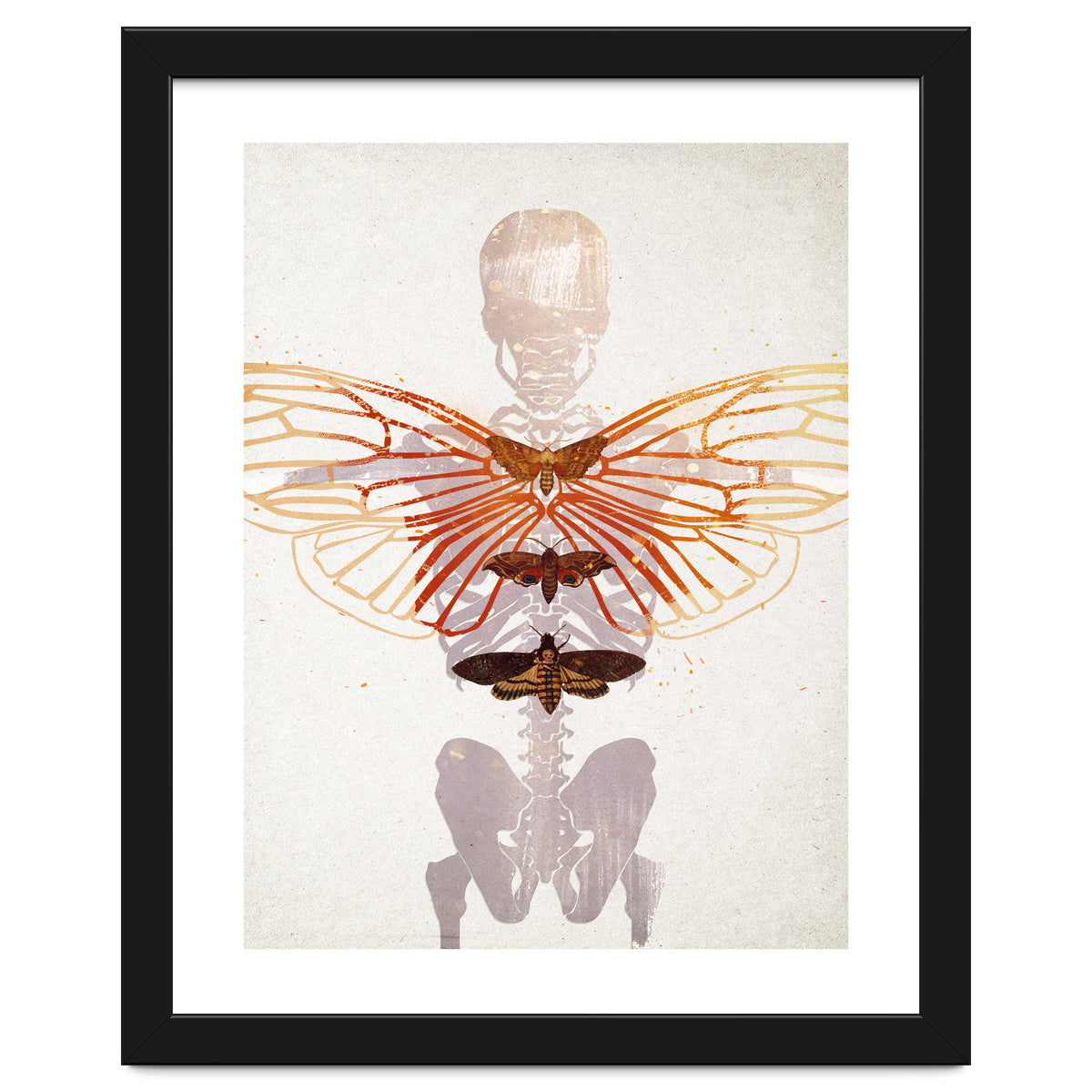 Ikarus - Like a Moth to the Flame