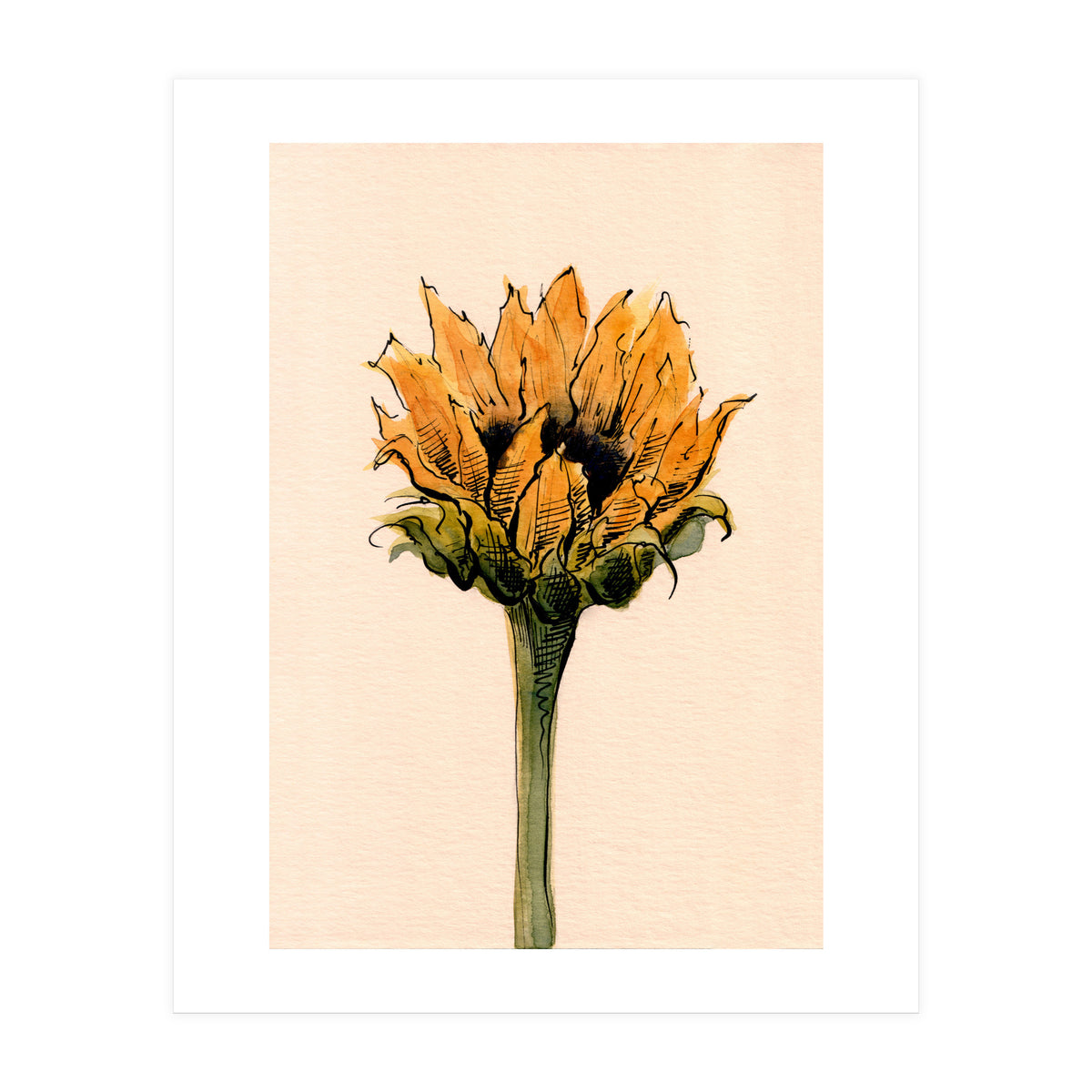 Sunflower (Print Only)