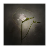 Graceful flower - Freesia | vintage style gold  (Print Only) thumbnail