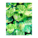 Colors Of The Jungle (Print Only) thumbnail