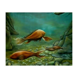 Silent Wisdom (Print Only) thumbnail
