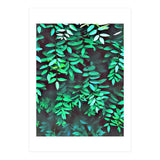 Greener (Print Only) thumbnail