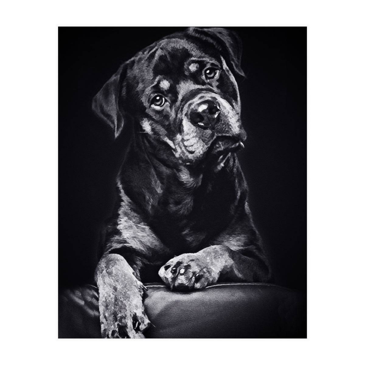 Black Dog (Print Only)
