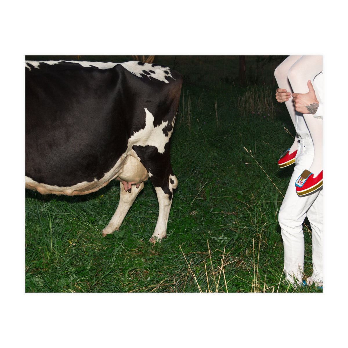 Moo means No (Print Only)