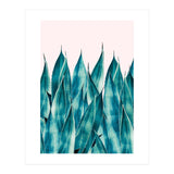 Summer Agave (Print Only) thumbnail