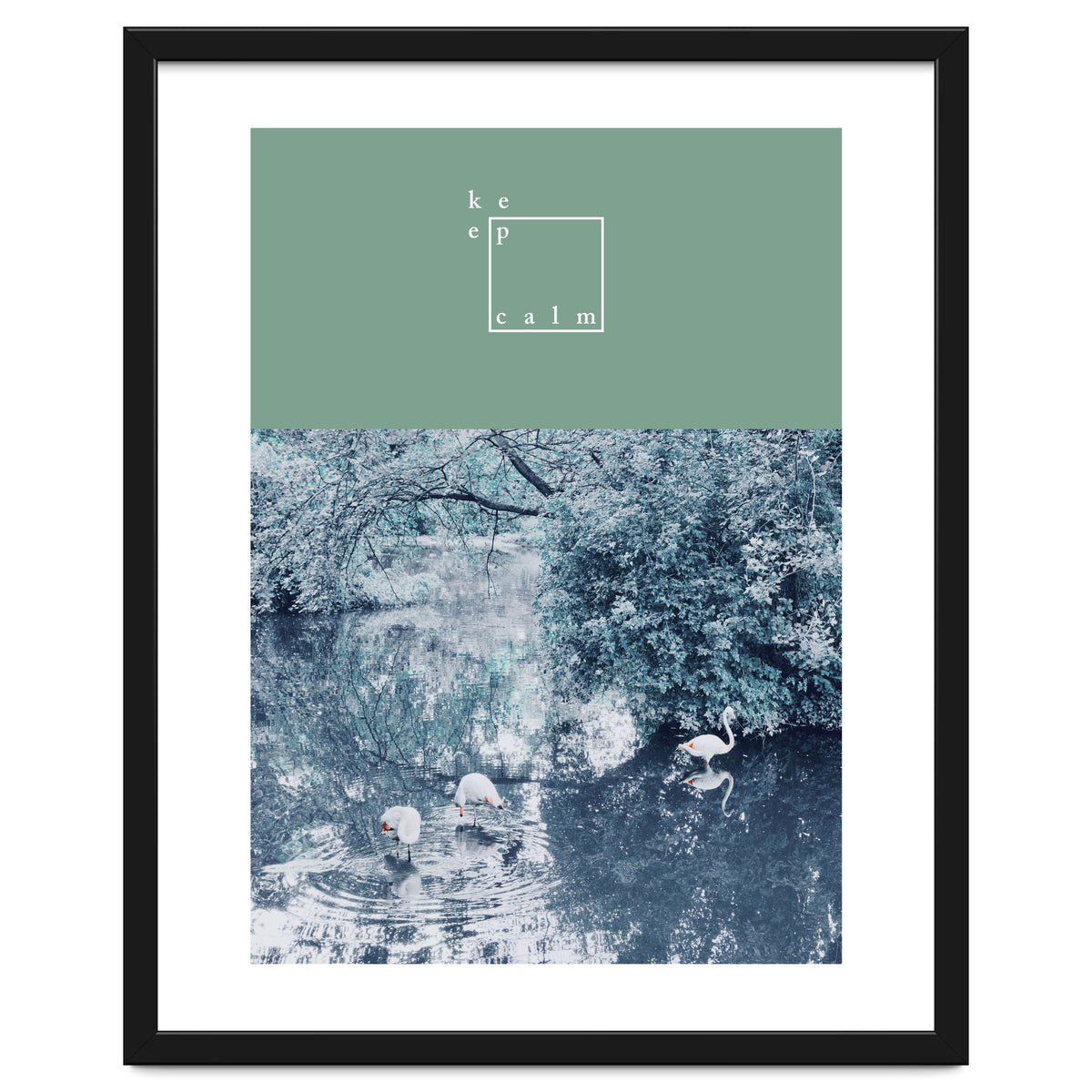 Flamingos - keep calm