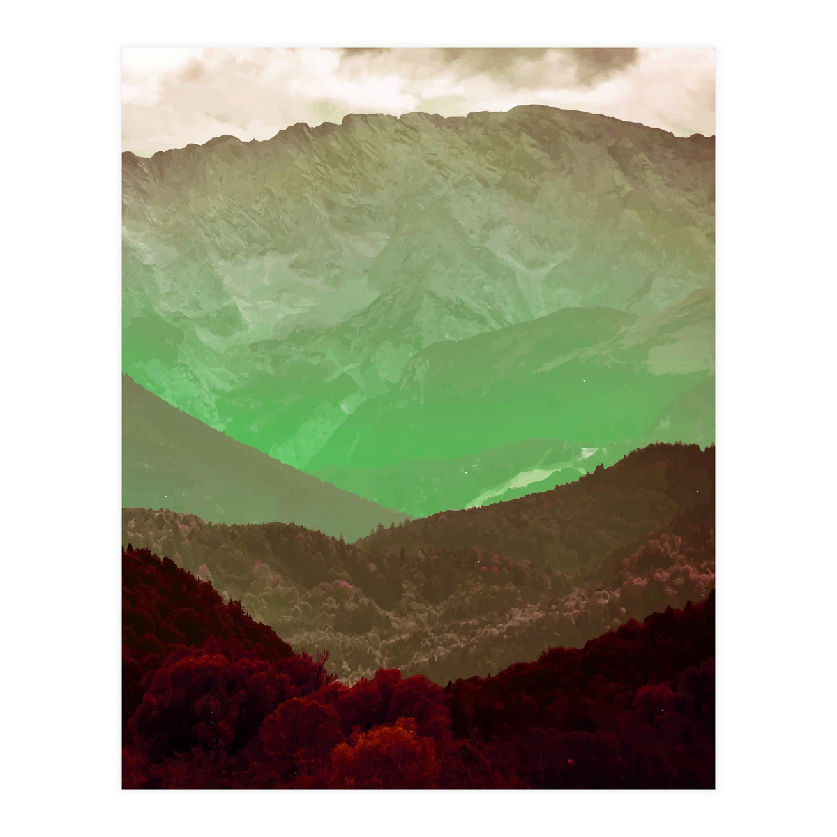 Philosophy & Purpose (Print Only)