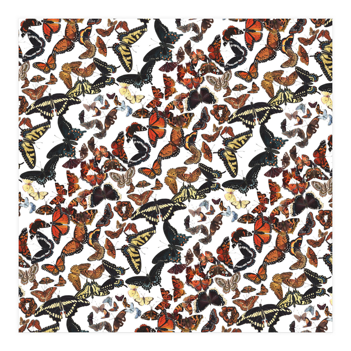 Maine Butterflies Pattern (Print Only)