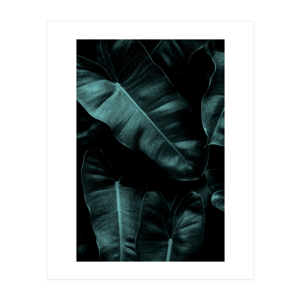 Dark Leafs (Print Only)
