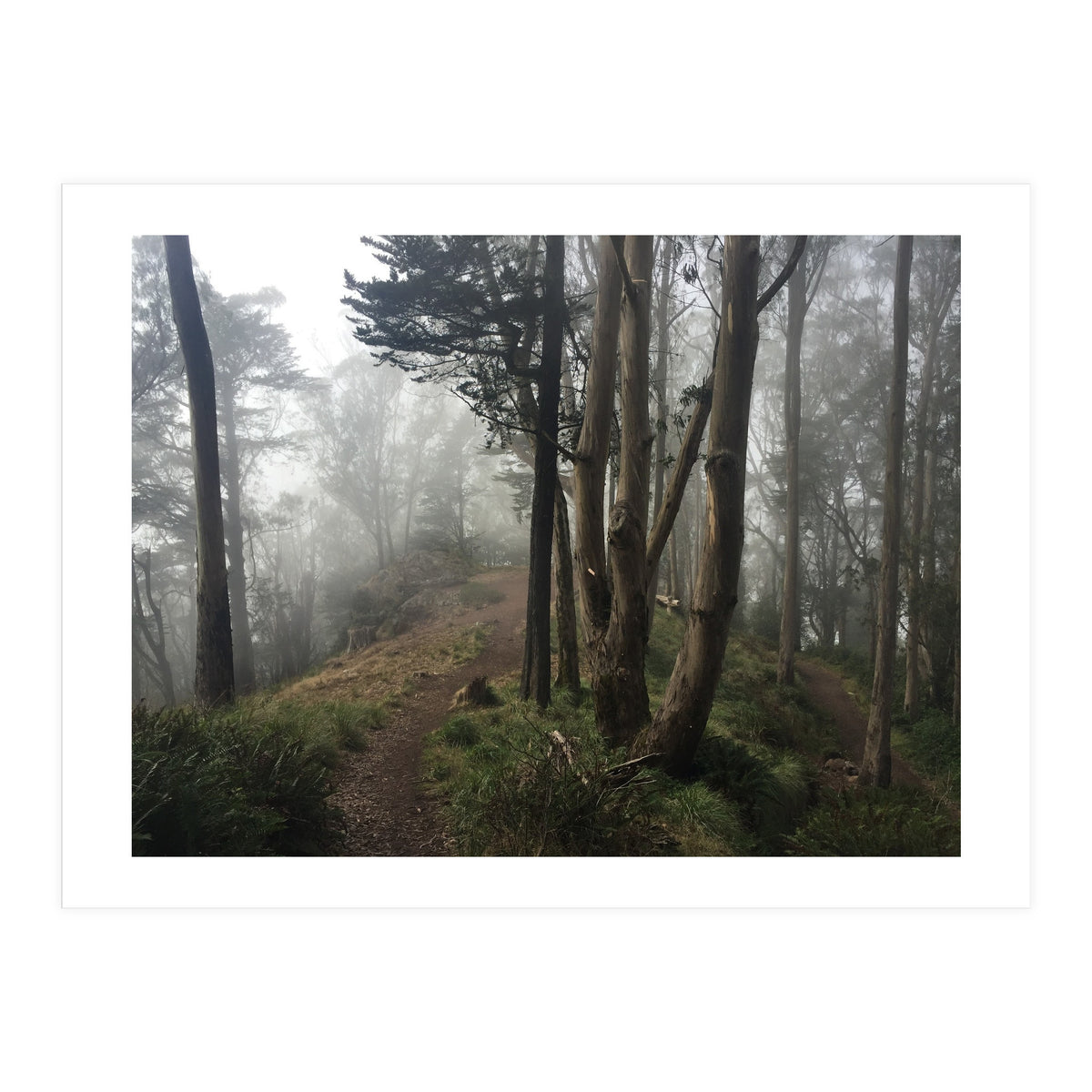 Mt. Davidson II (Print Only)