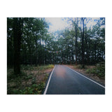 In To The Wild (Print Only) thumbnail