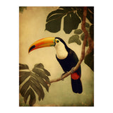 Toucan Vintage Jungle Painting (Print Only) thumbnail