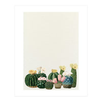 Cactus Garden (Print Only)