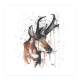 Red deer - Wildlife Collection (Print Only) thumbnail