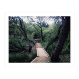 Glen Canyon Park (Print Only) thumbnail