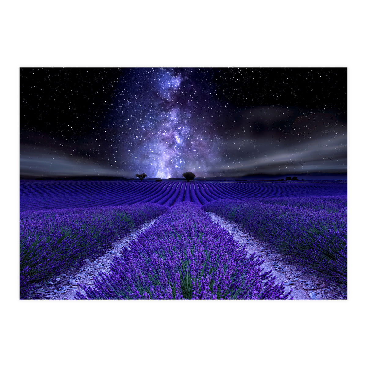 Under The Stars (Print Only)