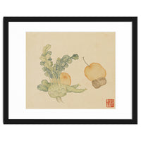 Wang Chengpi ~flowers And Vegetables, Vegetables, Fruits, Epiphyllum, Pears, Peppers