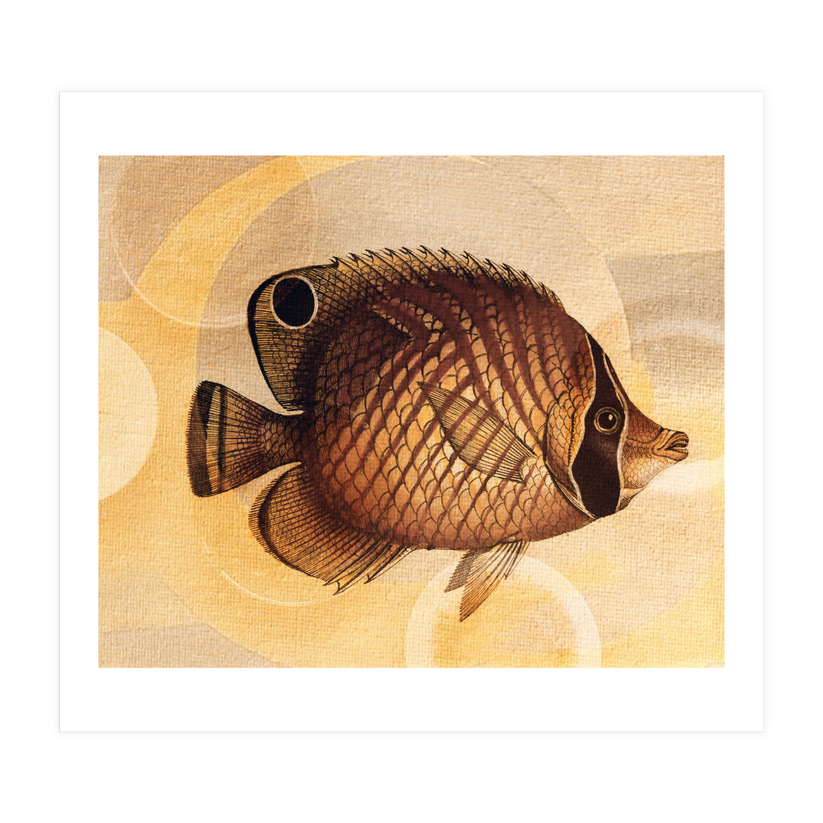 Fish Between Circles 3 (Print Only)
