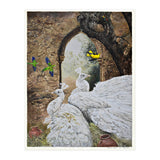 Portuguese Collection (Print Only) thumbnail