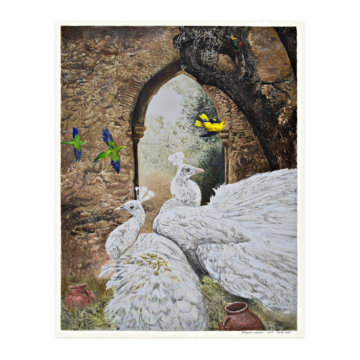 Portuguese Collection (Print Only)