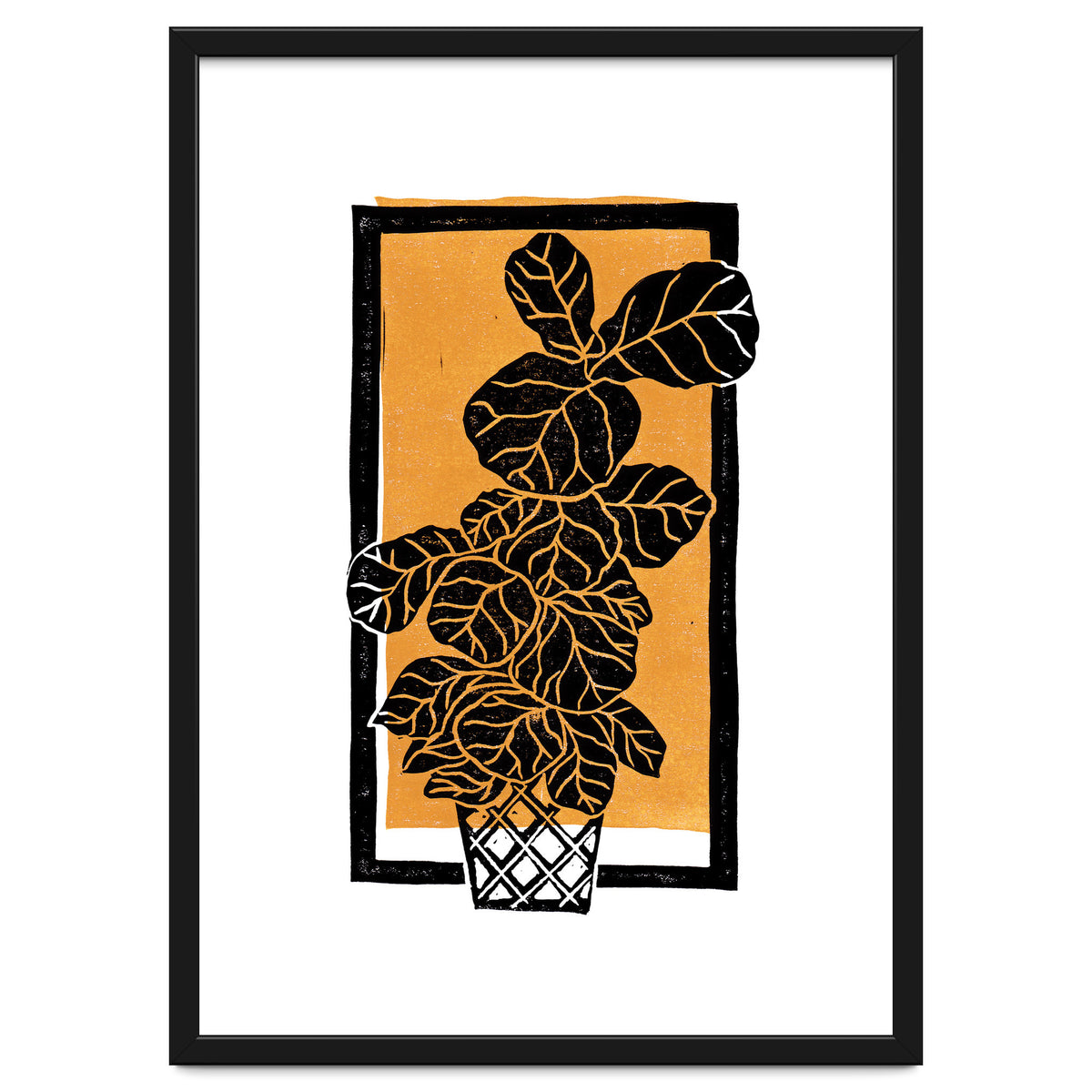 Fiddle Leaf Fig Clean + Sunlight