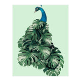Monstera Bird (Print Only) thumbnail