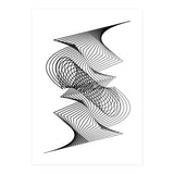 Organized Chaos_White (Print Only) thumbnail
