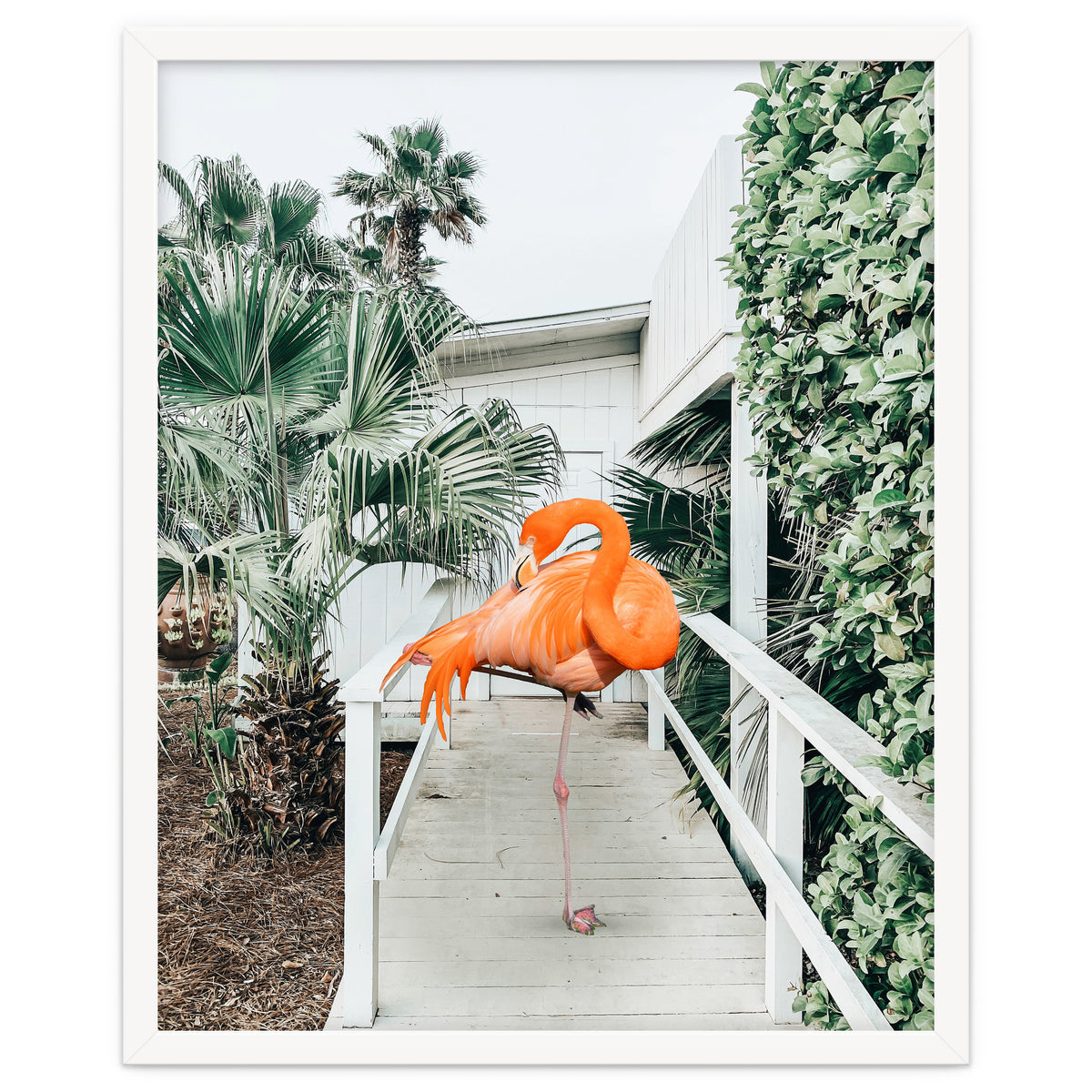 Flamingo Beach House