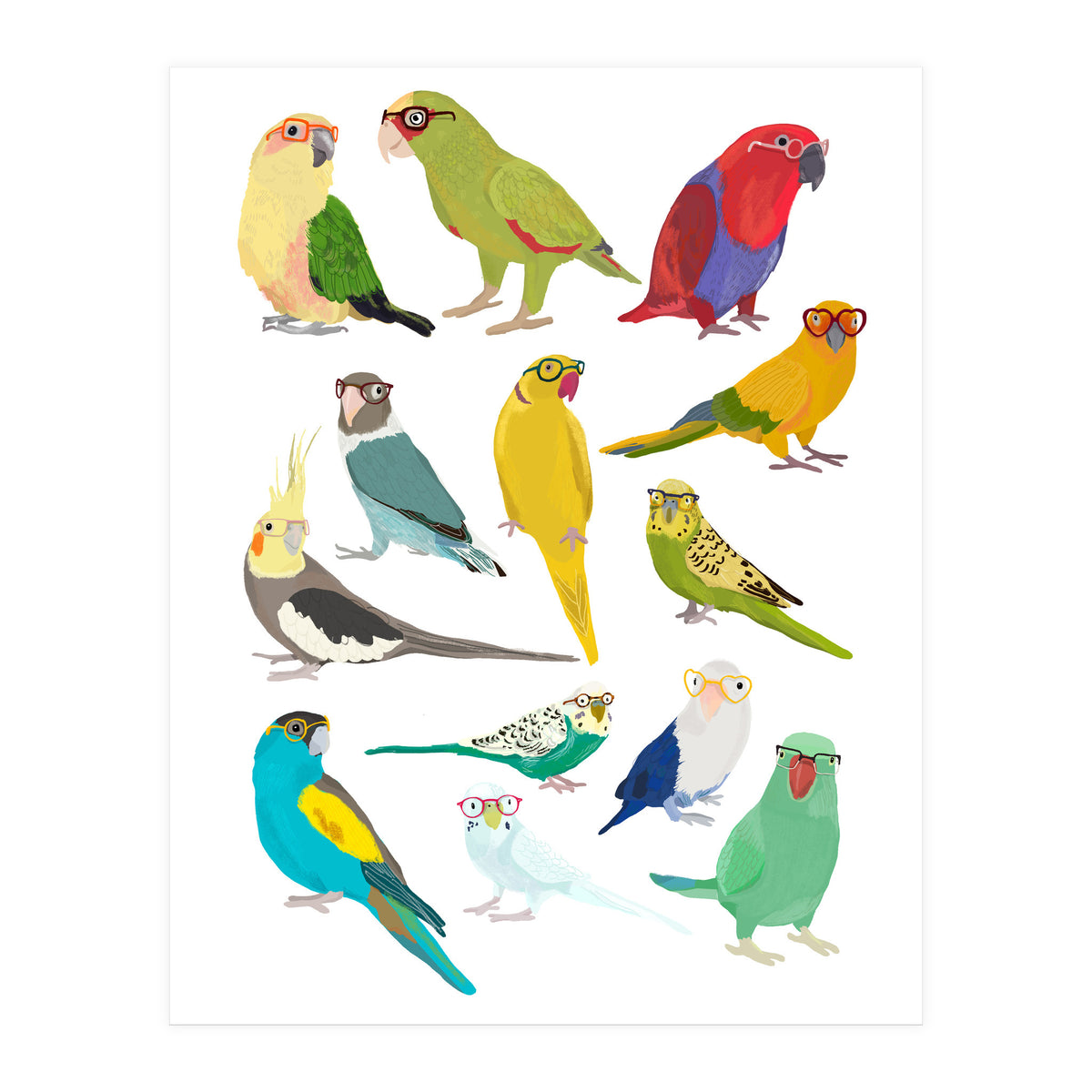 Parrotts in Glasses (Print Only)