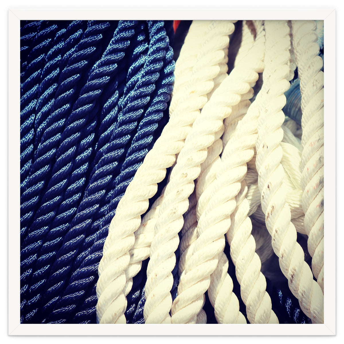 Blue and white fishing rope