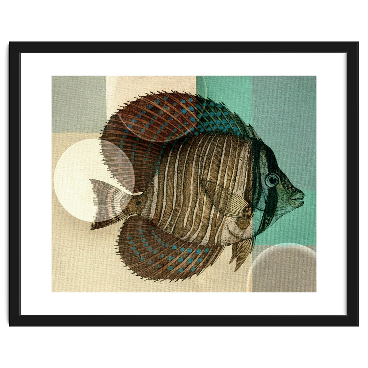 Fish Between Circles 4