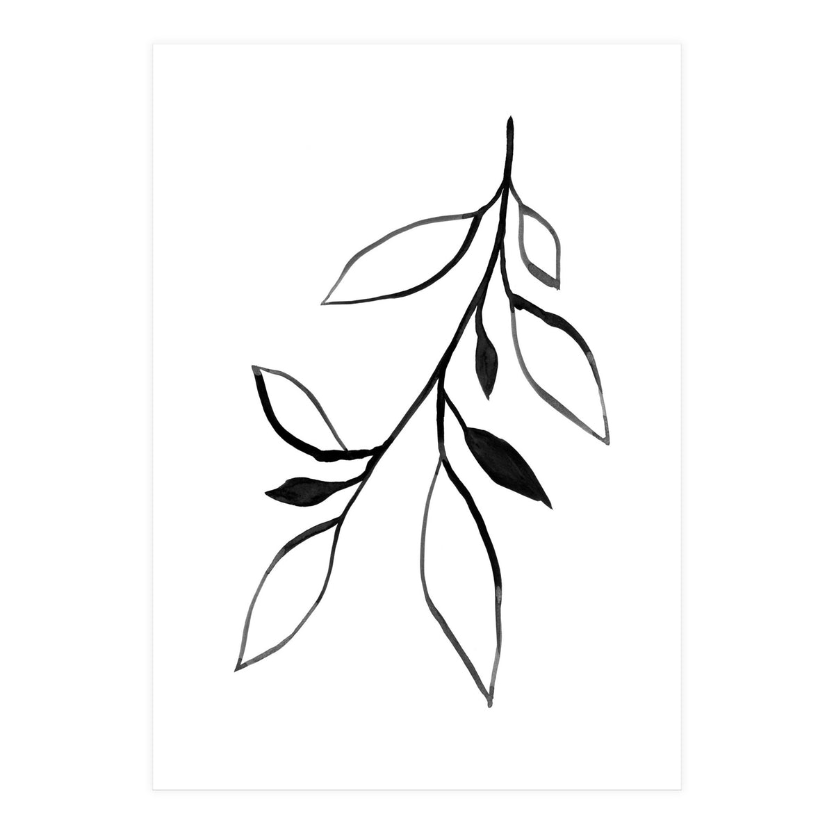 Ink Plant 2 (Print Only)