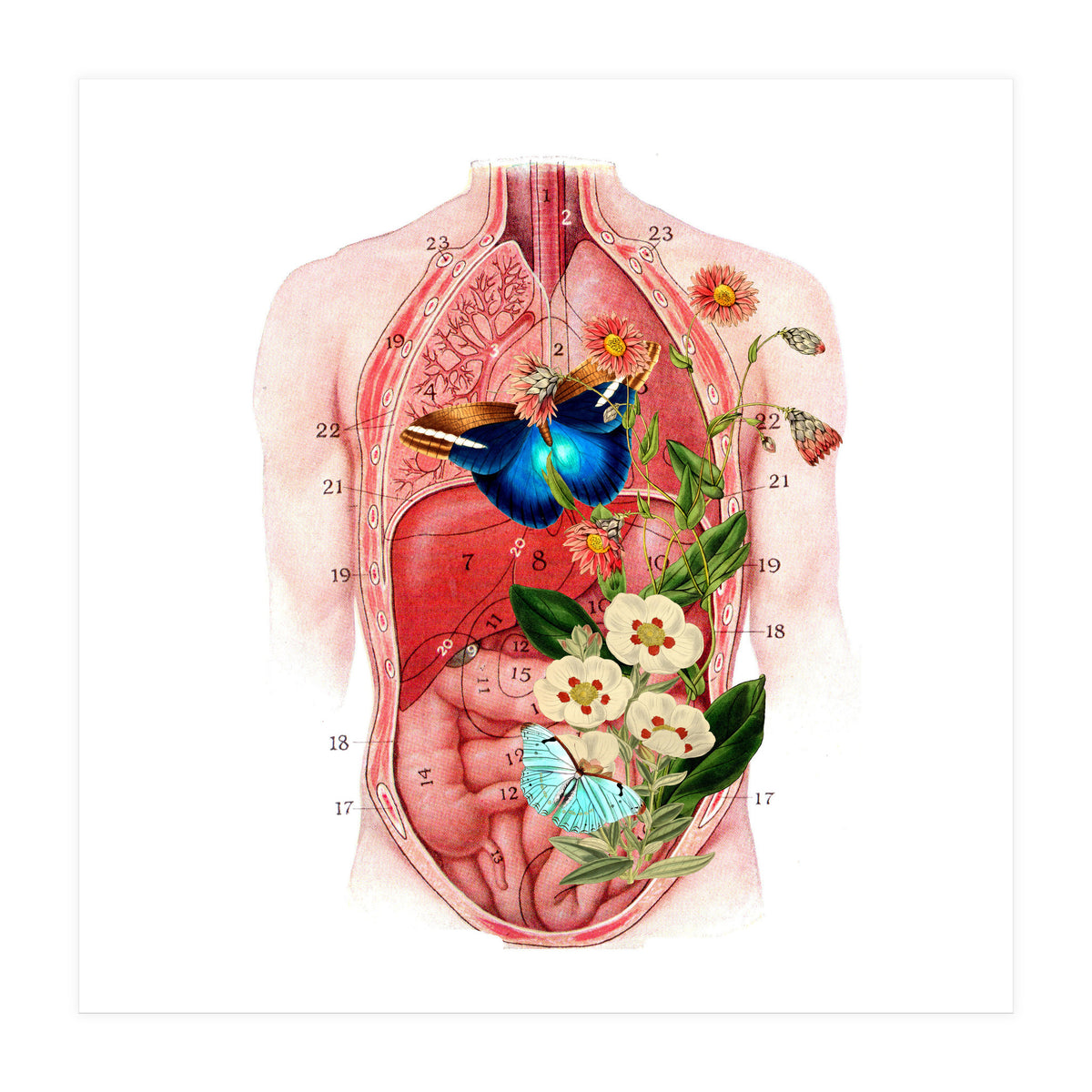 Butterflys In The Belly Makes Flower Grows (Print Only)