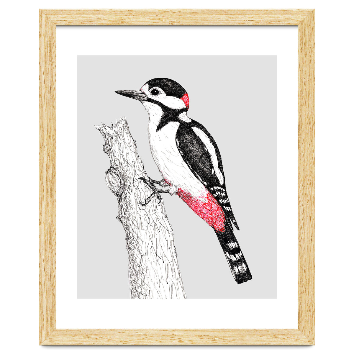 Great spotted woodpecker