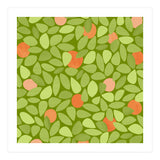 Orange Tree (Print Only) thumbnail