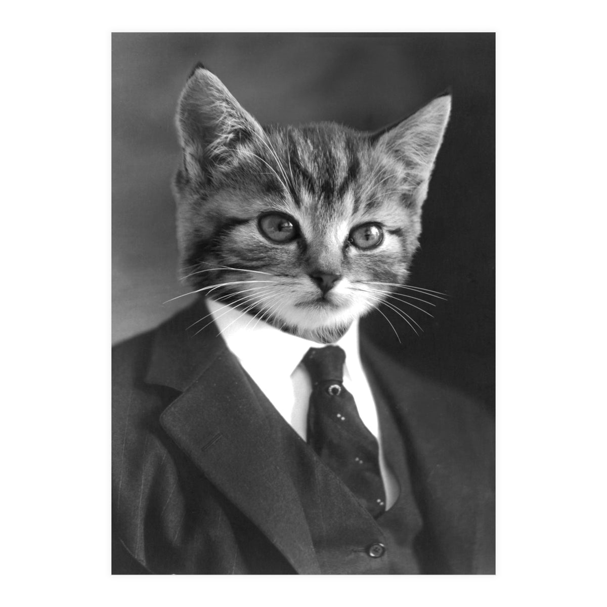 Gentleman Cat (Print Only)