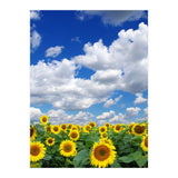 Nature (Print Only) thumbnail