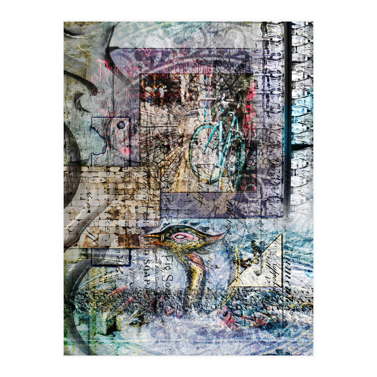 The Cellar (Print Only)