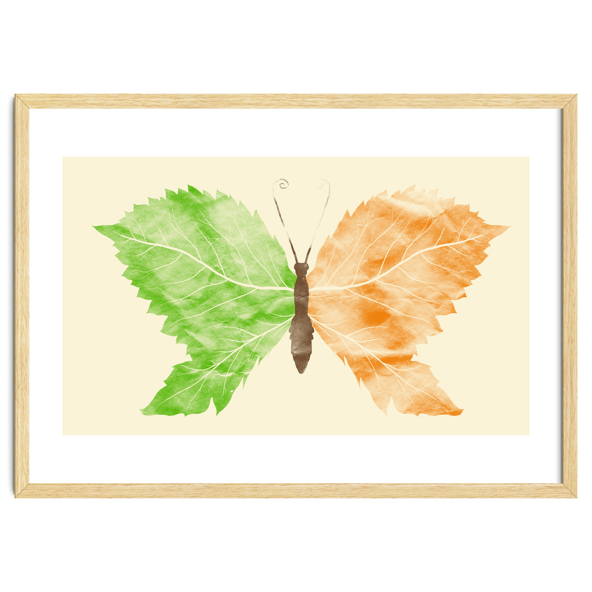 Seasons Change Time Flies