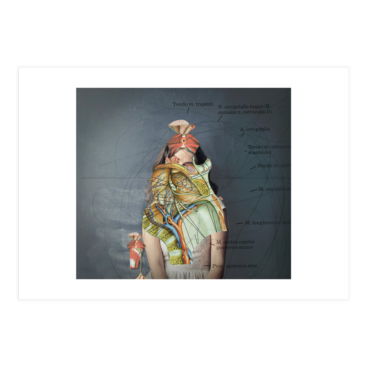 Crazy Woman 204 (Print Only)