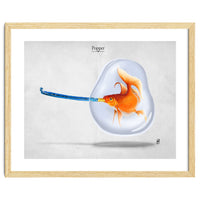 Popper
