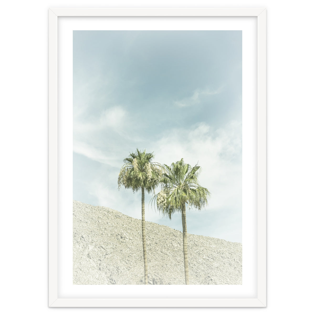 Palm Trees in the desert | Vintage