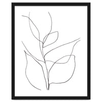 Plant Line Drawing