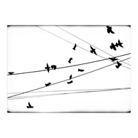 An Abstraction Of Birds (Print Only)
