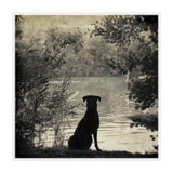 Waiting for you (Print Only) thumbnail