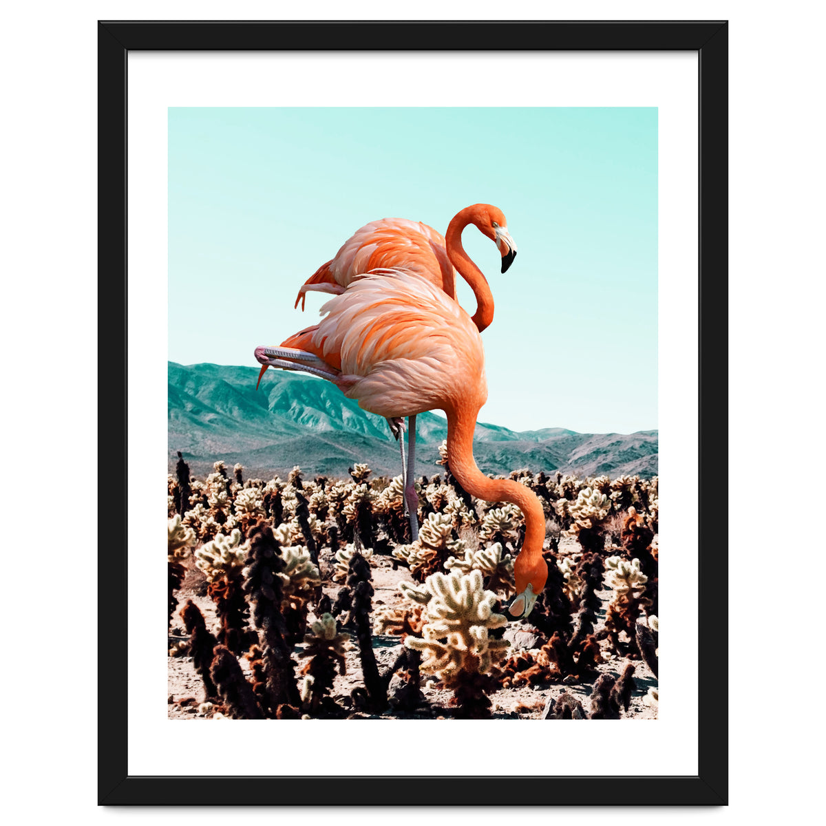 Flamingos In The Desert