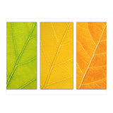 Autumn Leaves (Print Only) thumbnail