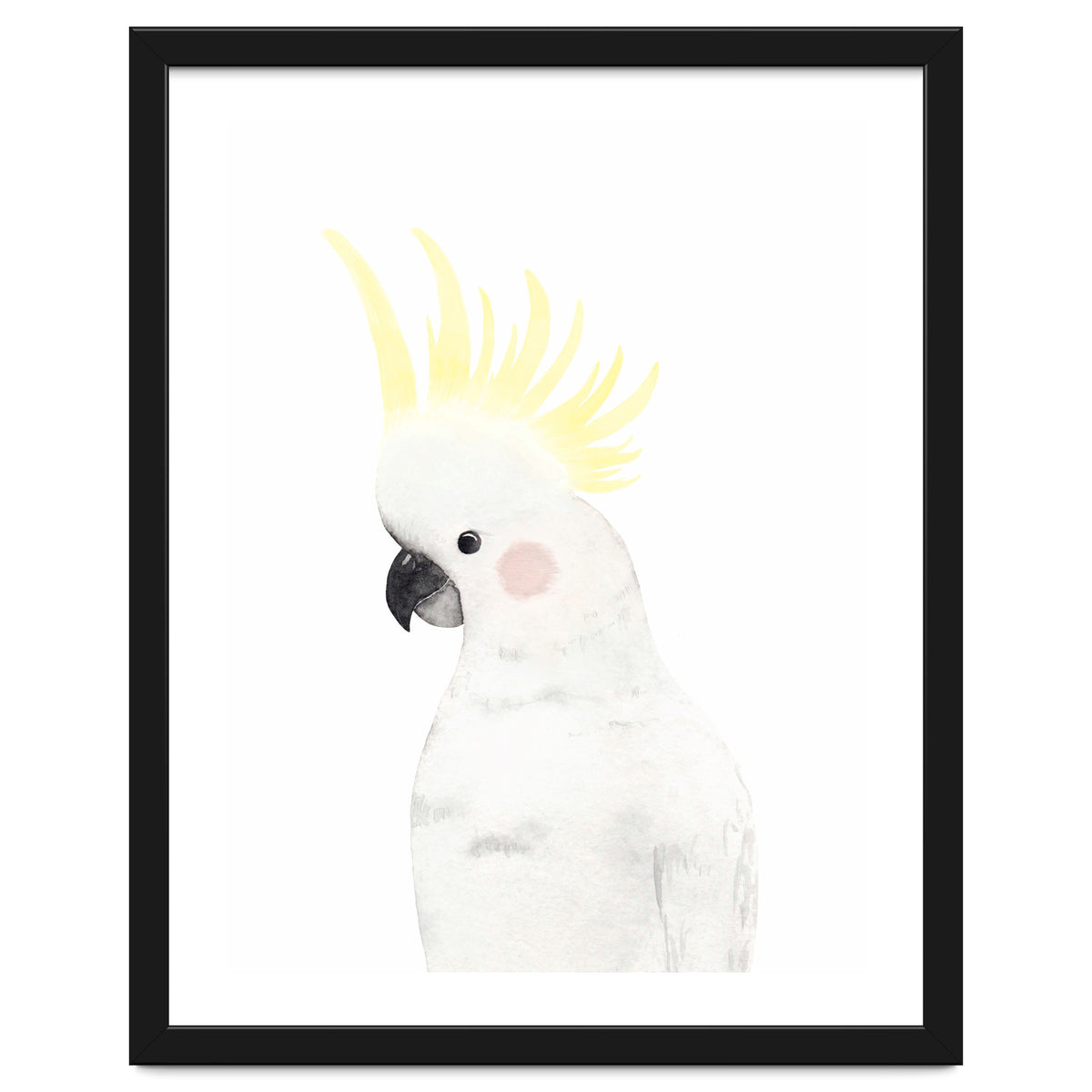 Sweet Cockatoo