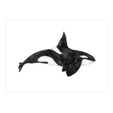 Orca (Print Only) thumbnail