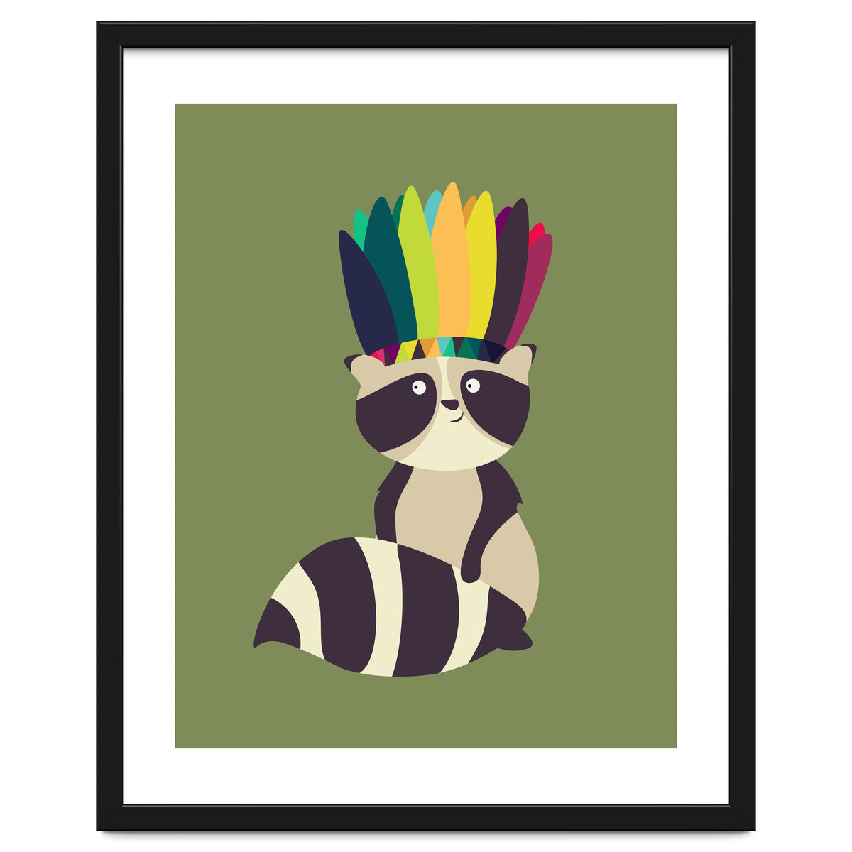 Indian Raccoon